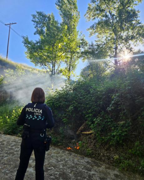 La pelusa de los chopos provoca un susto en la Ronda del Manantial