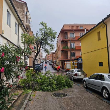 Arquetas desplazadas y árboles caídos, principales daños tras la tormenta del sábado