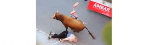 Un toro se escapa del encierro de Arcas y arrolla a dos mujeres