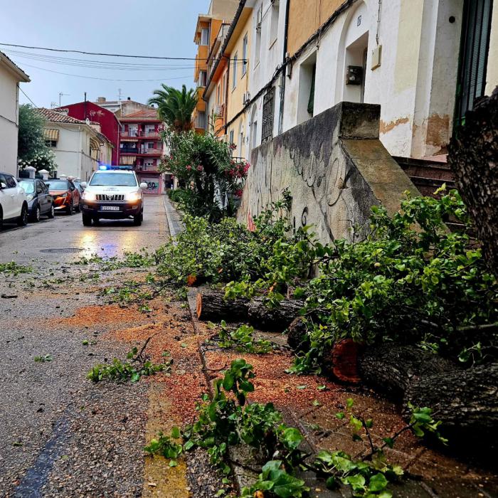 Arquetas desplazadas y árboles caídos, principales daños tras la tormenta del sábado
