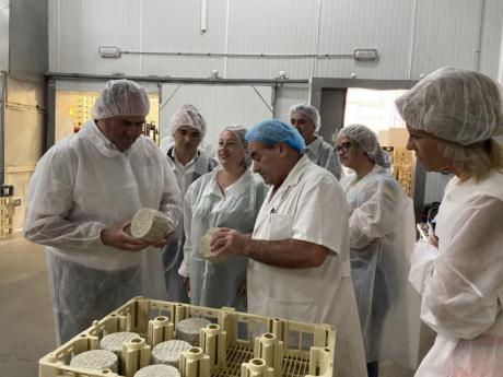 La Junta señala el queso manchego como una enseña regional y un producto de referencia nacional e internacional