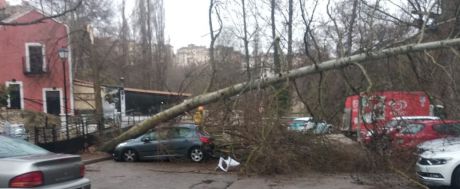 Una tromba de agua y granizo provoca la caída de arboles y farolas en la capital