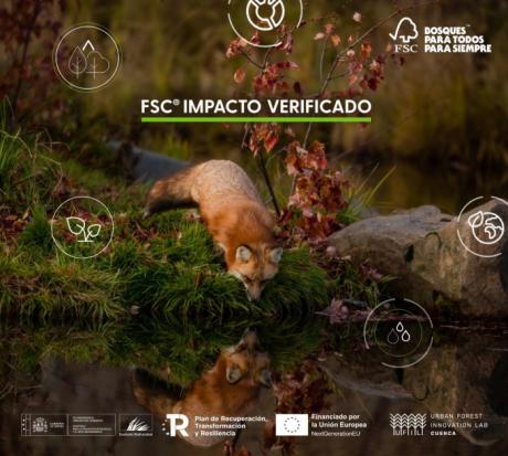 FSC organiza en Cuenca un taller práctico para que las empresas se sumen al cuidado de los bosques