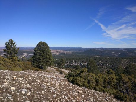Piden un plan de reforestación para la Serranía de Cuenca afectada por los incendios