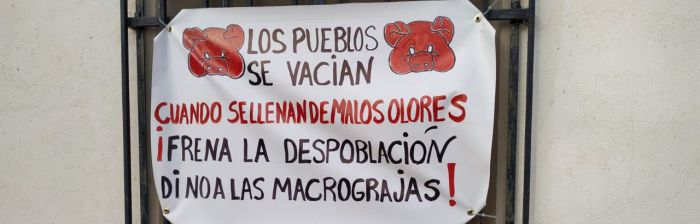 Los pueblos de la Villa Romana de Noheda se llenan con pancartas para frenar la macrogranja proyectada