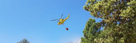 Declarado un incendio forestal entre Almodóvar del Pinar y Barchín del Hoyo