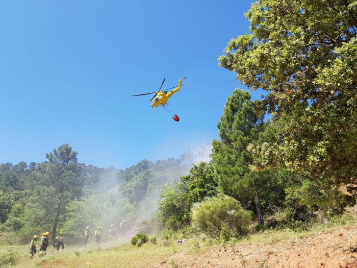 Declarado un incendio forestal entre Almodóvar del Pinar y Barchín del Hoyo