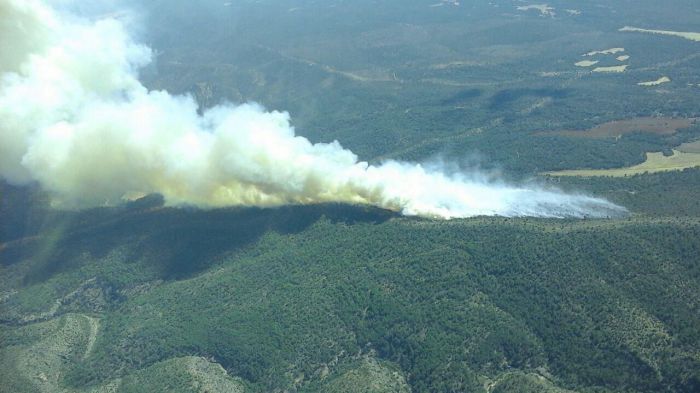 Suben a 100 las hectáreas afectadas por el incendio de Monteagudo de las Salinas