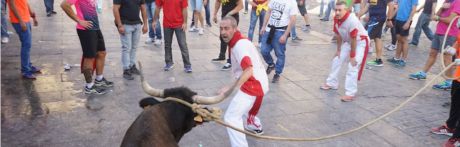 Un dispositivo especial de vigilancia reforzará el control para evitar la presencia de menores durante la suelta de vacas en San Mateo