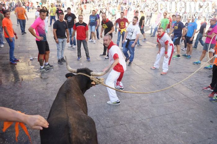 Un dispositivo especial de vigilancia reforzará el control para evitar la presencia de menores durante la suelta de vacas en San Mateo