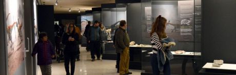 El Museo de Paleontología cerrará 2019 con 80.000 visitas, el triple que en 2016