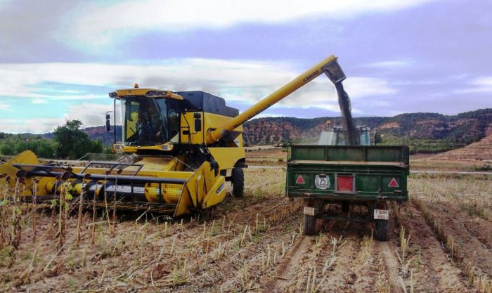 Castilla-La Mancha ha abonado ya 555 millones de euros de ayudas de la PAC con el nuevo pago realizado hoy a 5.000 agricultores y ganaderos