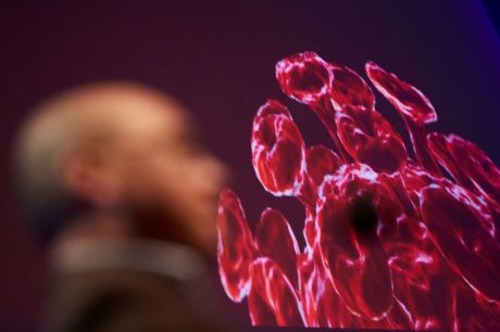 Castilla-La Mancha supera las 6.000 altas epidemiológicas y el número de hospitalizados desciende de 600 en la lucha contra la pandemia por coronavirus