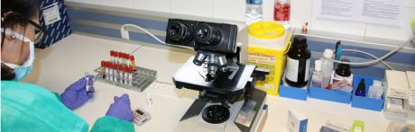 Castilla-La Mancha ya ha realizado más de 175.000 pruebas diagnósticas entre PCR y test rápidos en la lucha contra el coronavirus