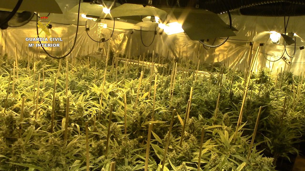 La Guardia Civil ha detenido a dos personas por un delito de cultivo o elaboración de estupefacientes
