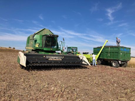 La Junta ha facilitado la incorporación de más de 600 jóvenes a la agricultura desde 2016 en la provincia