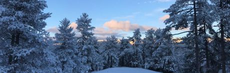 Se activa el Meteocam ante la previsión de fuertes nevadas