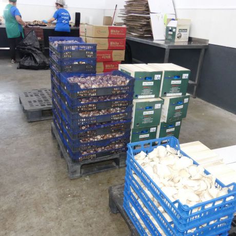La región cierra 2020 como la tercera comunidad autónoma del país con mejor comportamiento en las exportaciones pese al COVID-19