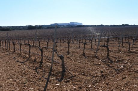 Castilla-La Mancha adelanta de nuevo un pago de la PAC de casi 15 millones de euros, alcanzando ya los 560 millones abonados esta campaña