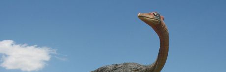 Un dinosaurio hallado en Las Hoyas en los años 90 sigue descubriendo el pasado