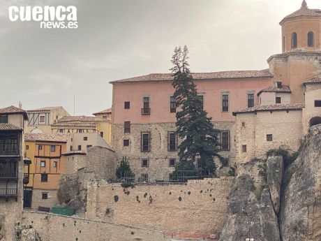 Cuenca en Marcha pedirá explicaciones por la tala de los árboles en los huertos del Obispado