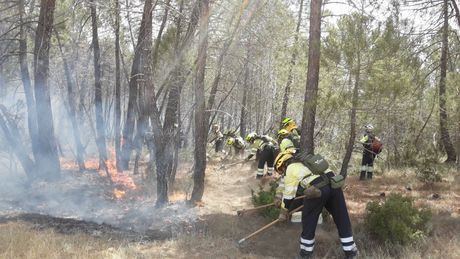 La región redujo los incendios forestales un 6% durante la campaña de alto riesgo