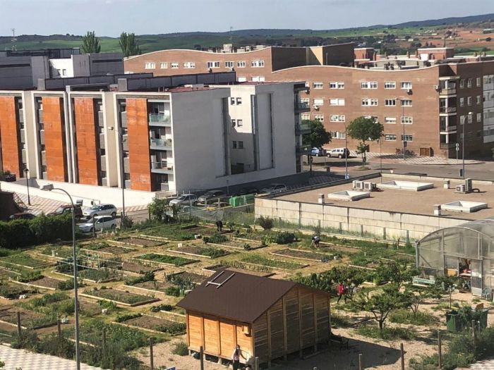 Huertos Sociales en el barrio de Villa Román