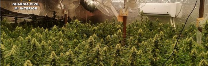 Desarticulado un grupo criminal dedicado al cultivo y la elaboración de sustancias estupefacientes en Barajas de Melo