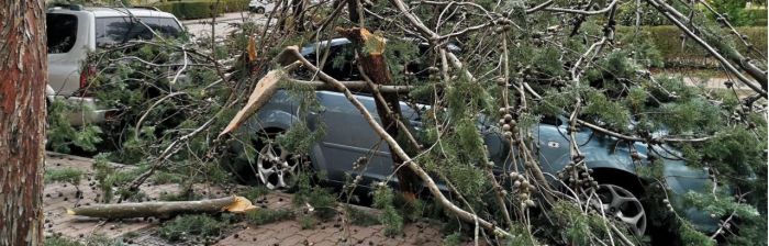 Decenas de incidencias a lo largo de todo el día con motivo del temporal de viento