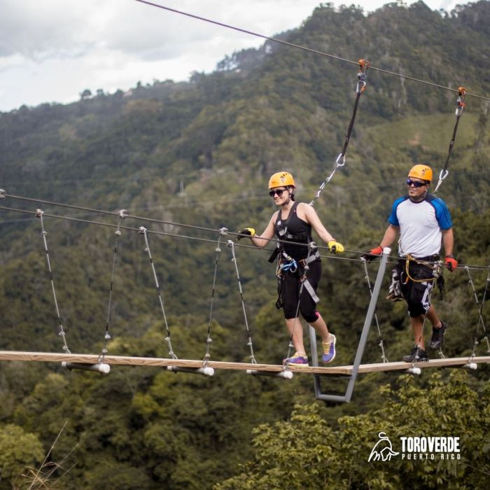 El parque temático generaría entre 350 y 400 empleos directos