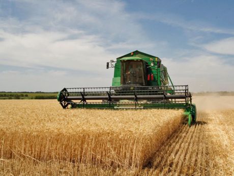 Asaja estudia recurrir las medidas en agricultura contra los incendios 