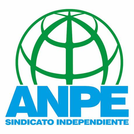 ANPE gana las elecciones sindicales docentes en la región con 56 delegados de un total de 161
