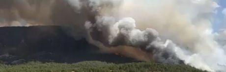 Más de 230 personas trabajan actualmente para extinguir el incendio de Cañamares