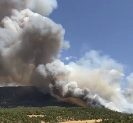 Más de 230 personas trabajan actualmente para extinguir el incendio de Cañamares