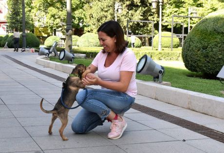 El Albergue Provincial de Animales de la Diputación ha atendido a 12.780 perros en los 20 años de funcionamiento