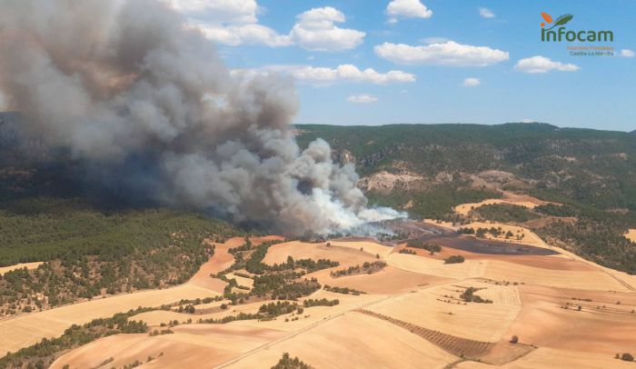 Extinguido el incendio declarado el pasado miércoles en Cañamares