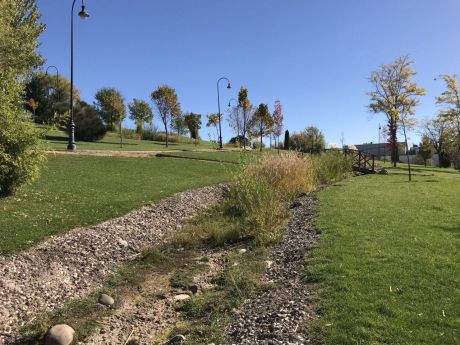 Ciudadanos llevará a pleno el imprudente abandono de los parques de la ciudad