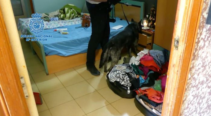 Desmantelada una organización criminal dedicada a la prostitución de mujeres paraguayas en Cuenca