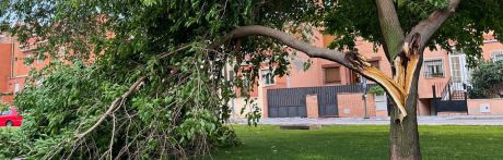 La fuerte tormenta de granizo deja calles anegadas y caídas de arboles en la capital