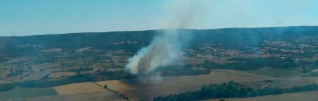 Declarado un incendio forestal en Castejón