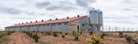 Tres trabajadores de una granja de cerdos de Tarancón encontrados inconscientes