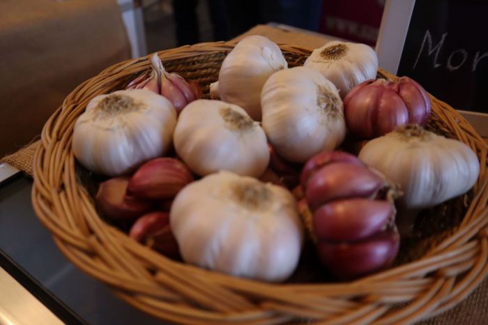 Galería de imágenes | Feria Internacional del Ajo de Las Pedroñeras