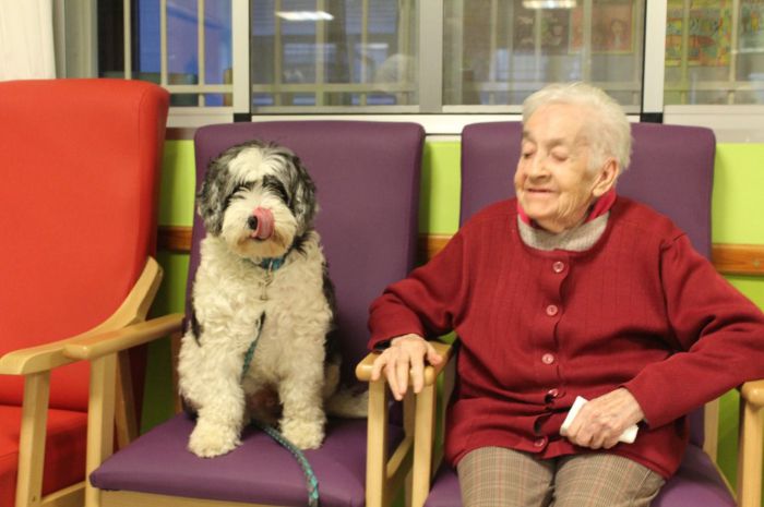 La Residencia Sagrado Corazón de Jesús mejora la vida de los residentes con ayuda de la terapia con perros