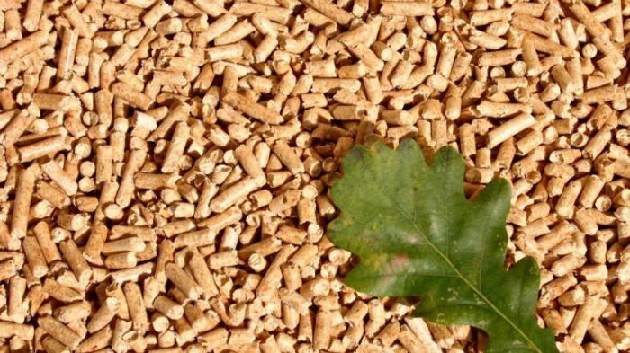 Publicada la estrategia regional de la biomasa forestal de Castilla-La Mancha