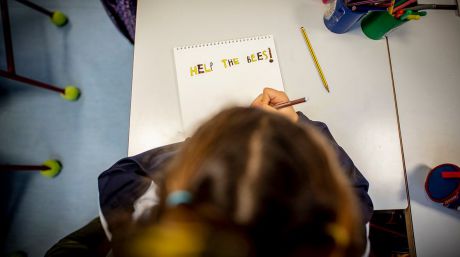 Castilla-La Mancha baja la ratio de Educación Infantil a 22 alumnos para el próximo curso
