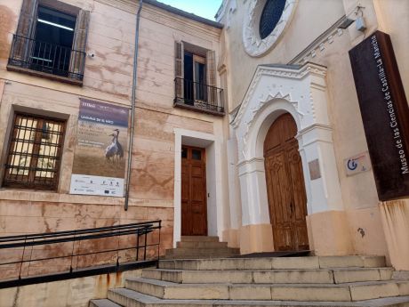 Récord de inscripciones en las Olimpiadas regionales EntreREDes en Castilla-La Mancha