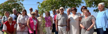 Cruz Roja planta el Árbol de la Humanidad como símbolo de sus 160 años de compromiso humanitario