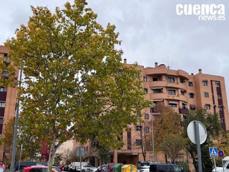 La Aemet activa aviso amarillo por vientos de hasta 80 km/h en Cuenca