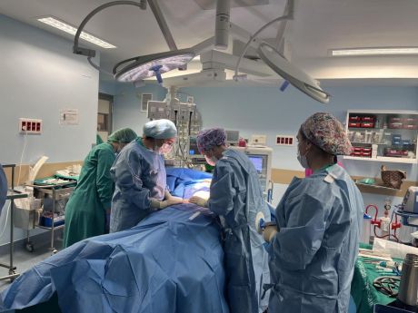 Un total de 191 personas recibieron un trasplante gracias a las 90 donaciones de órganos registradas en Castilla-La Mancha en 2024