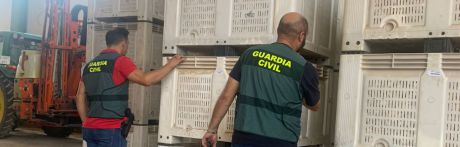La Guardia Civil desarticula dos grupos criminales responsables de 28 robos en explotaciones agrícolas de la comarca de La Mancha conquense